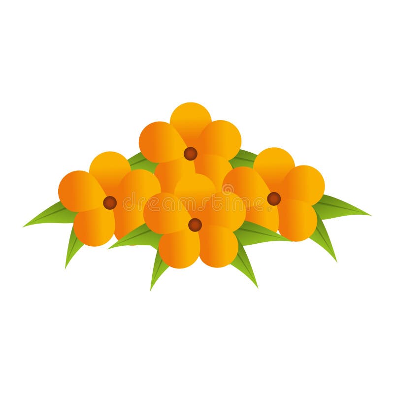 Le jaune fleurit la conception florale de bouquet avec des feuilles illustration libre de droits Le jaune fleurit la conception florale de bouquet avec des feuilles illustration libre de droits