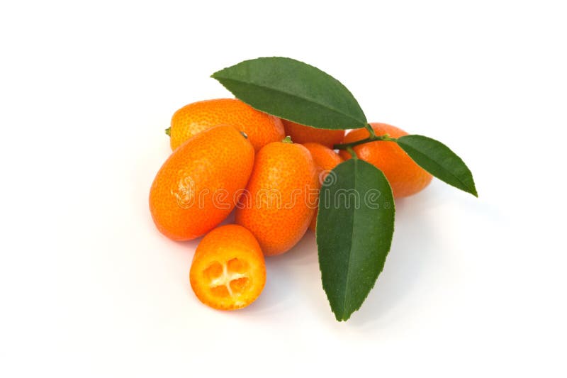Kumquats image stock. Image du vitamines, kumquats, kumquat 29882255
