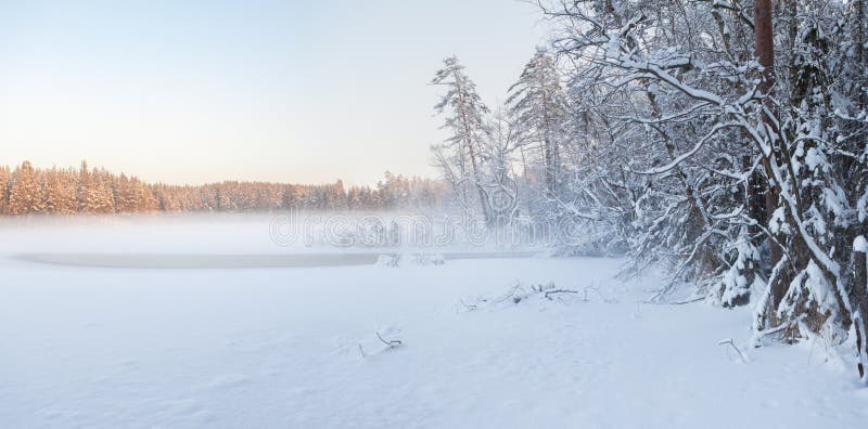 Le lac figé de l'hiver en bois sous la neige
