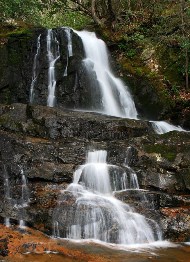 Le laurier tombe dans les montagnes fumeuses NP image libre de droits Le laurier tombe dans les montagnes fumeuses NP image libre de droits