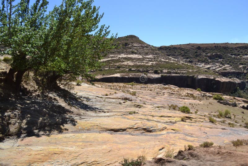 Le Lesotho est l'état intérieur le plus au sud dans le monde et impressionne par sa grande richesse des espèces. Le Lesotho est l'état intérieur le plus au sud dans le monde et impressionne par son énorme richesse des espèces avec son incroyable patrimoine culturel de végétation variée ainsi qu'une variété d'animaux terrestres et aquatiques. Malealea lodge est situé dans un quartier d'une manière éblouissante beau et isolé au Lesotho occidental. Ici nous avons une occasion unique d'avoir mis au courant du Lesotho original et traditionnel avec les croyances de douane solide et les rites culturels de son basoto d'habitants.