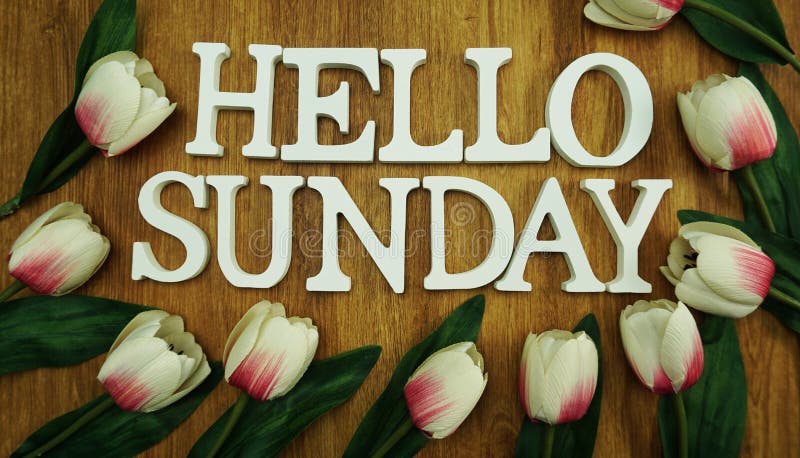 Le lettere felici dell'alfabeto di parola di domenica sulla vista di legno del piano d'appoggio con il tulipano fioriscono la dec royalty illustrazione gratis Le lettere felici dell'alfabeto di parola di domenica sulla vista di legno del piano d'appoggio con il tulipano fioriscono la dec royalty illustrazione gratis