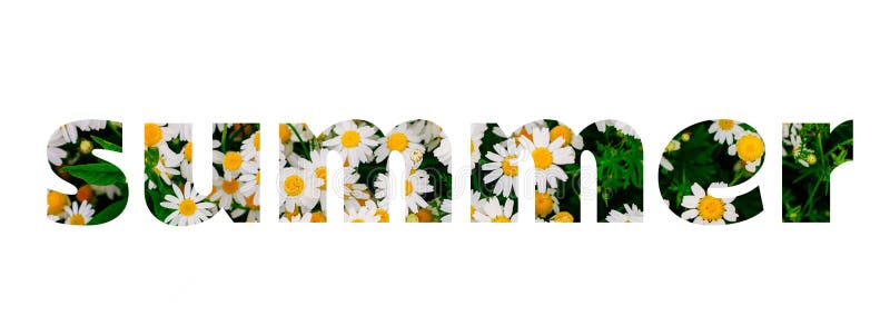 Le lettrage d'été a fait du gisement de fleurs de marguerite image libre de droits Le lettrage d'été a fait du gisement de fleurs de marguerite image libre de droits
