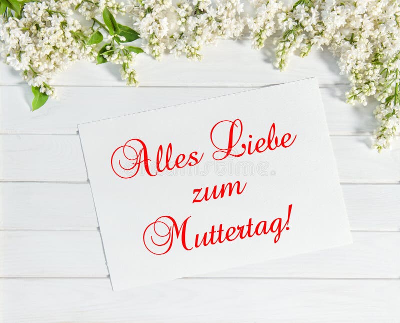 Le lilas fleurit la carte de voeux allemande de jour de mères de Muttertag photo stock Le lilas fleurit la carte de voeux allemande de jour de mères de Muttertag photo stock