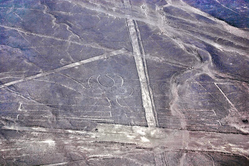 Le linee di Nazca