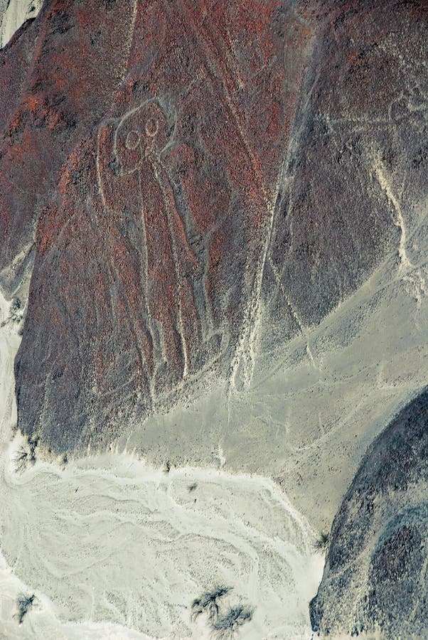 Le linee di Nazca
