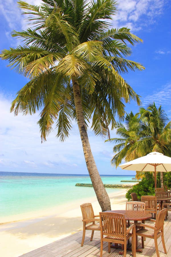 Le Maldive, ristorante tropicale della barra della spiaggia fotografia stock Le Maldive, ristorante tropicale della barra della spiaggia fotografia stock