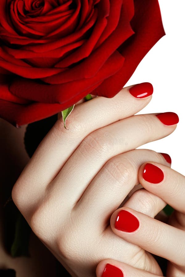 Beautiful manicured woman's hands with red nail polish. Beautiful red manicure. Bright red polish on nails and holding red rose. Beautiful manicured woman's hands with red nail polish. Beautiful red manicure. Bright red polish on nails and holding red rose