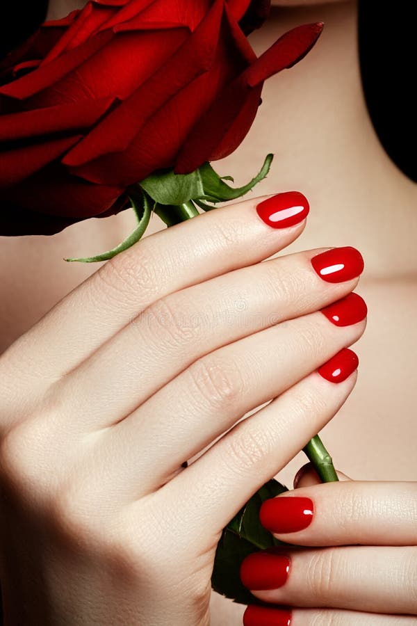 Beautiful manicured woman's hands with red nail polish. Beautiful red manicure. Bright red polish on nails and holding red rose. Beautiful manicured woman's hands with red nail polish. Beautiful red manicure. Bright red polish on nails and holding red rose