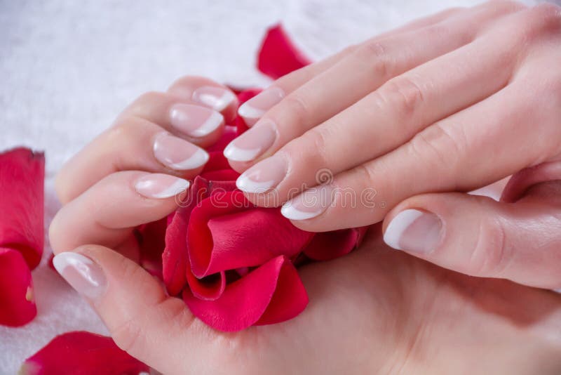 Girl hands with french manicure style and modern nails polish holding red rose petals in studio. Beauty and Manicure concept. Close up, selective focus. Girl hands with french manicure style and modern nails polish holding red rose petals in studio. Beauty and Manicure concept. Close up, selective focus