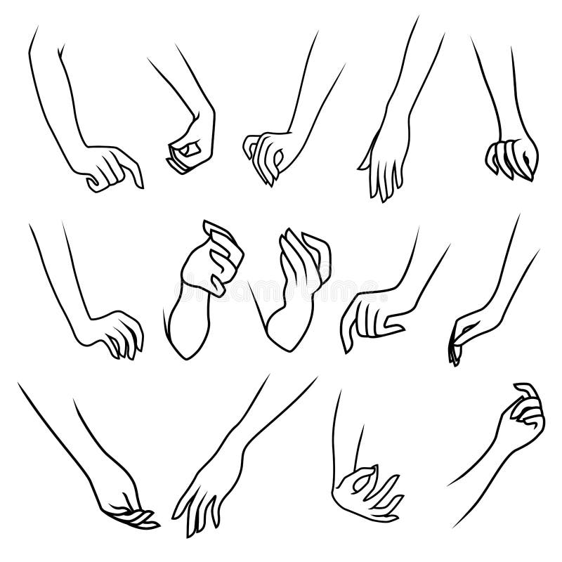 Le mani della donna isolate su fondo bianco illustrazione di stock Le mani della donna isolate su fondo bianco illustrazione di stock