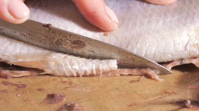 Le mani delle donne tagliano le aringhe al rallentatore della cucina domestica