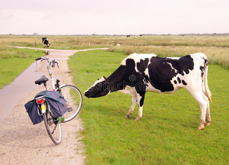 Le marais aiment le paysage d'une île du Wadden images libres de droits Le marais aiment le paysage d'une île du Wadden images libres de droits