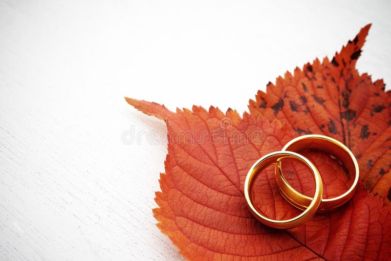 Download Le Mariage D'automne Invitent Image stock - Image du personne, mariage: 45371459
