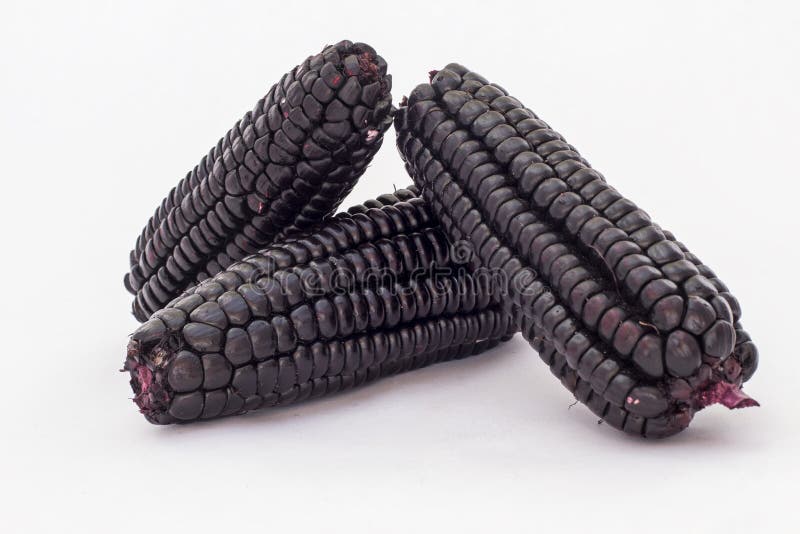 Le maïs pourpre péruvien (morado de maiz), qui est principalement employé pour préparer le jus a appelé le morada de chicha image stock Le maïs pourpre péruvien (morado de maiz), qui est principalement employé pour préparer le jus a appelé le morada de chicha image stock