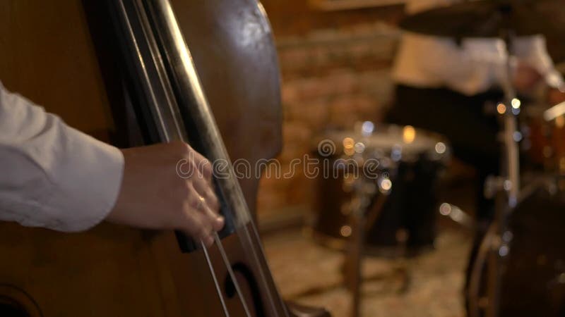 Le mec joue une double basse au studio. macro prise de vue des chaînes et timbre. le groupe musical joue au restaurant.