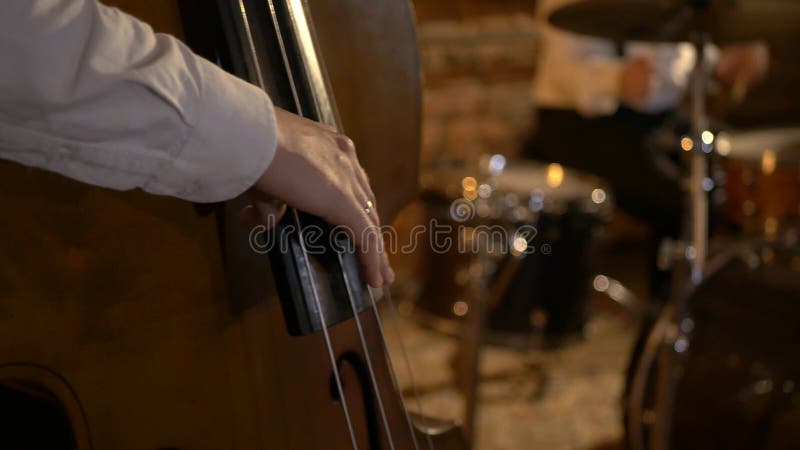 Le mec joue une double basse au studio. macro prise de vue des chaînes et timbre. le groupe musical joue au restaurant.