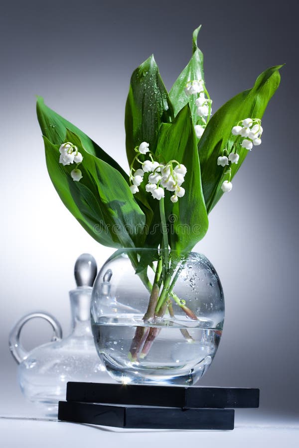 Bouquet De Source Le Muguet Et Lilas Dans Un Vase Photo stock Image du carte, lilas 50978098