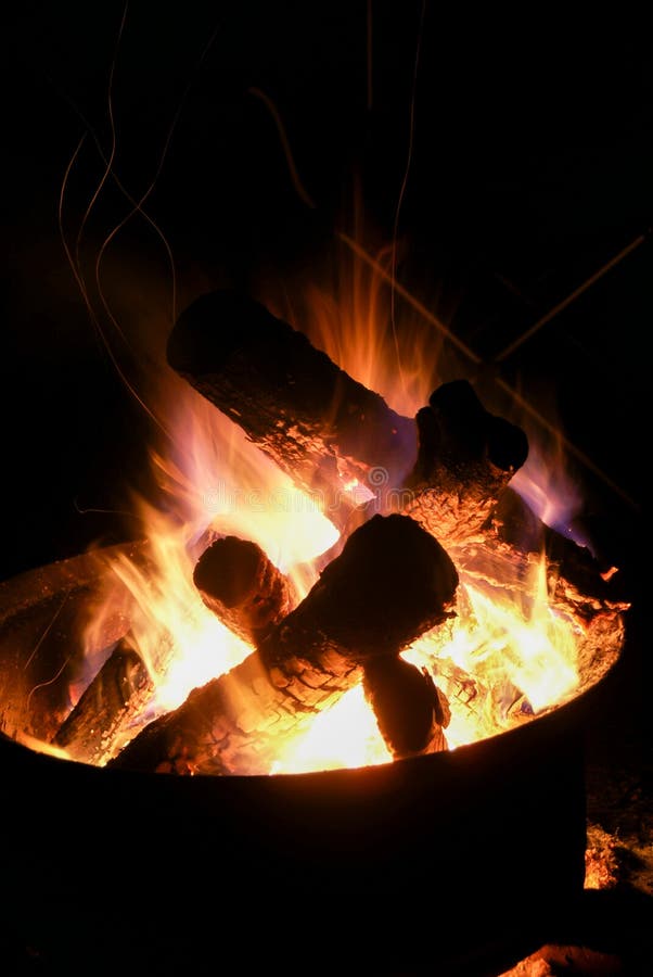 Multiple logs in an evening camp fire contained in a metal fire ring. Multiple logs in an evening camp fire contained in a metal fire ring