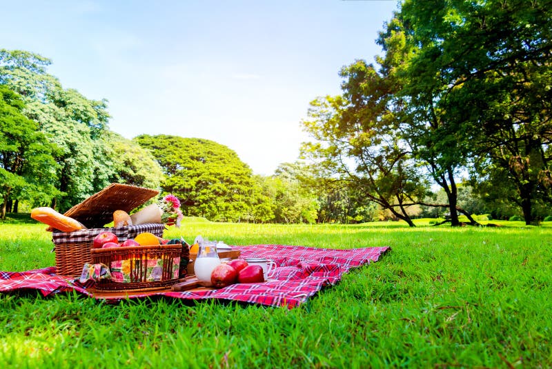 Le panier de pique-nique a beaucoup de nourriture sur l'herbe verte avec le ciel bleu dans le parc photographie stock Le panier de pique-nique a beaucoup de nourriture sur l'herbe verte avec le ciel bleu dans le parc photographie stock
