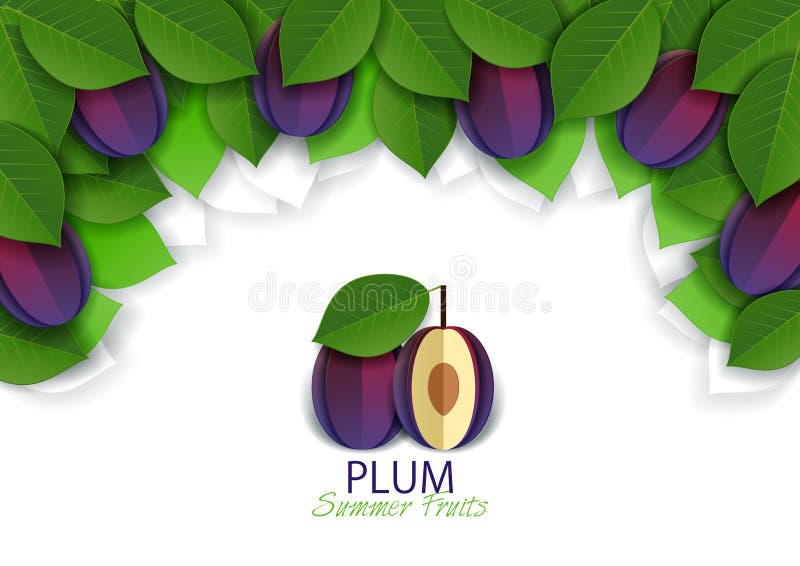 Le papier de vecteur a coupé le fond mûr de fruit de prune, cadre illustration libre de droits Le papier de vecteur a coupé le fond mûr de fruit de prune, cadre illustration libre de droits