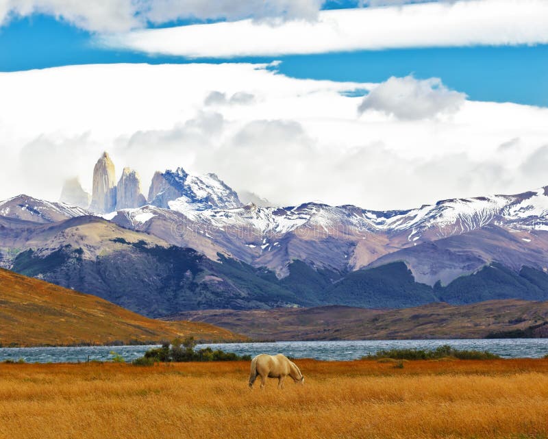 Le parc national Torres del Paine photographie stock libre de droits Le parc national Torres del Paine photographie stock libre de droits