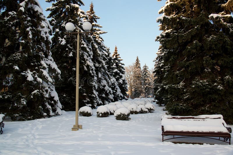 Le paysage d'hiver avec un banc couvert de neige au milieu de l'hiver a givré des arbres et des réverbères Rues de Stavropol, Cau images stock Le paysage d'hiver avec un banc couvert de neige au milieu de l'hiver a givré des arbres et des réverbères Rues de Stavropol, Cau images stock