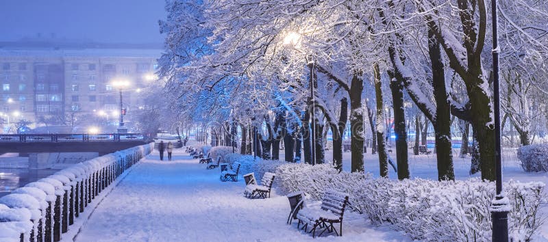 Le paysage ?tonnant de nuit d'hiver de la neige a couvert le banc parmi les arbres neigeux et les lumi?res brillantes pendant les photographie stock libre de droits Le paysage ?tonnant de nuit d'hiver de la neige a couvert le banc parmi les arbres neigeux et les lumi?res brillantes pendant les photographie stock libre de droits