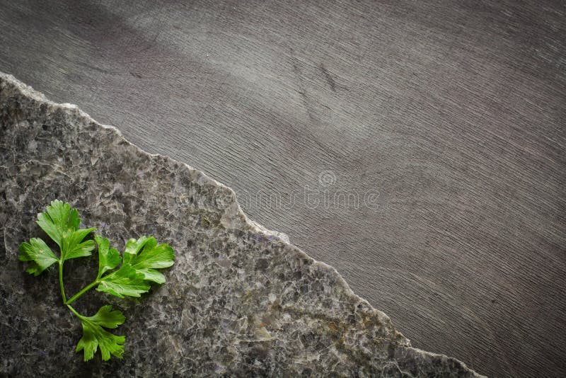Le persil part sur une pierre polie foncée avec une fracture irrégulière Dans la perspective du bois d'ébène photo stock Le persil part sur une pierre polie foncée avec une fracture irrégulière Dans la perspective du bois d'ébène photo stock
