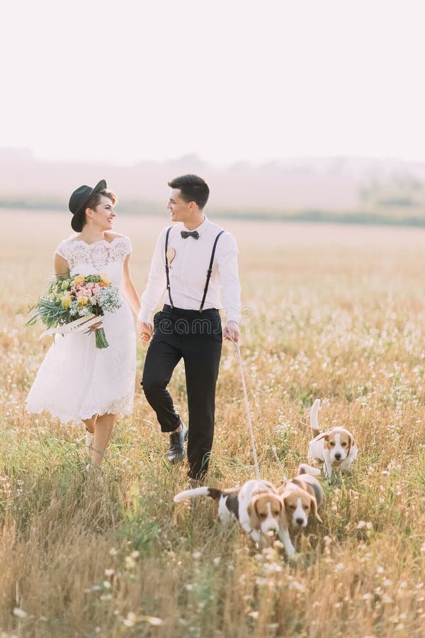 Le persone appena sposate sono sorridenti, parlanti e camminanti con i tre cani nel campo soleggiato La sposa sta giudicando fotografia stock libera da diritti Le persone appena sposate sono sorridenti, parlanti e camminanti con i tre cani nel campo soleggiato La sposa sta giudicando fotografia stock libera da diritti
