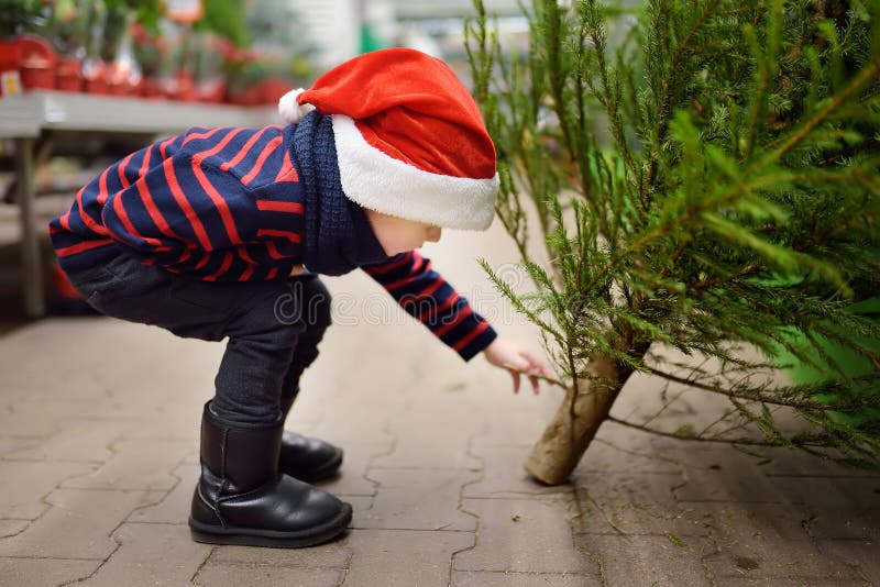 Le petit garçon mignon choisit l'arbre de Noël sur le marché Achats de Noël de famille images stock Le petit garçon mignon choisit l'arbre de Noël sur le marché Achats de Noël de famille images stock