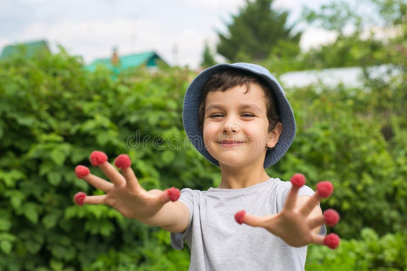 Le petit garçon mignon montre des baies sur ses doigts dans un jardin image stock Le petit garçon mignon montre des baies sur ses doigts dans un jardin image stock
