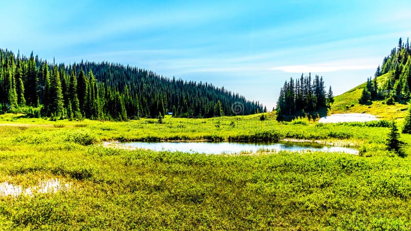 Le petit lac dans le haut alpin près du village de Sun fait une pointe photographie stock libre de droits Le petit lac dans le haut alpin près du village de Sun fait une pointe photographie stock libre de droits