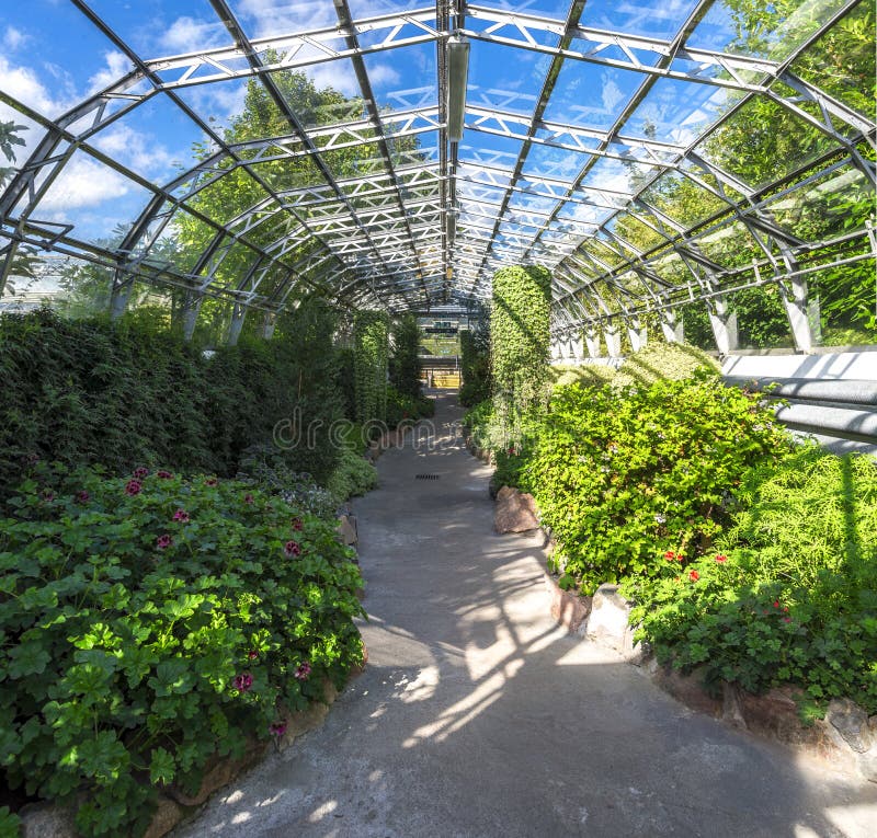 A footpath through one of the halls with flowers and plants in David Welch Winter gardens, Duthie park, Aberdeen, Scotland. A footpath through one of the halls with flowers and plants in David Welch Winter gardens, Duthie park, Aberdeen, Scotland