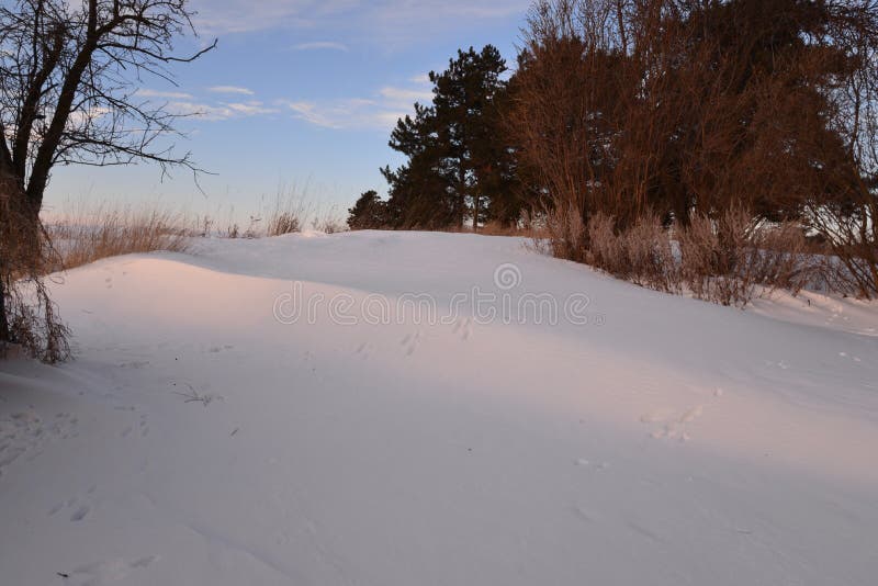 Le piccole piste animali in neve contano dopo la tempesta della neve fotografie stock libere da diritti