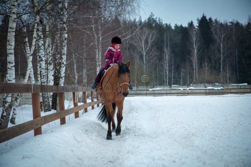 Le pilote du cheval de cette petite fille galope sur un cheval noir dans le manege ouvert d'hiver