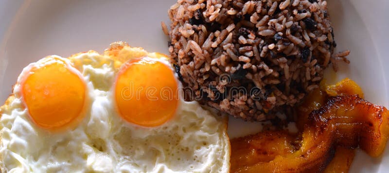 Le pinto de Gallo, Costa Rica The la plupart de plat commun pour le petit déjeuner est Gallo Pinto image libre de droits Le pinto de Gallo, Costa Rica The la plupart de plat commun pour le petit déjeuner est Gallo Pinto image libre de droits