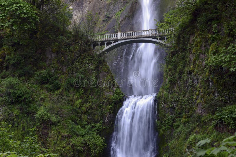 Le pont d'automnes et de pied de Multnomah le capot de bâti d'arrangement vert luxuriant et à Portland proches Orégon dans le fle photographie stock libre de droits Le pont d'automnes et de pied de Multnomah le capot de bâti d'arrangement vert luxuriant et à Portland proches Orégon dans le fle photographie stock libre de droits
