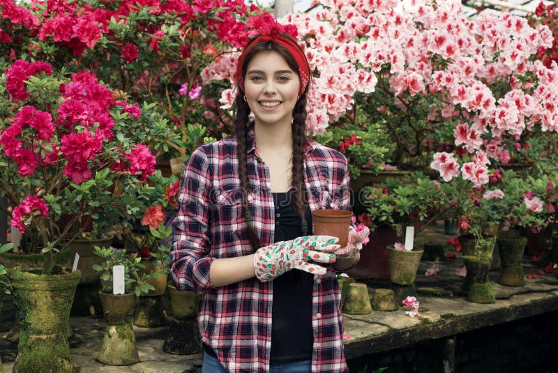Le portrait de la jardinière de sourire de jeune femme avec des tresses tenant le pot choisit quelle fleur à transplanter photographie stock libre de droits Le portrait de la jardinière de sourire de jeune femme avec des tresses tenant le pot choisit quelle fleur à transplanter photographie stock libre de droits