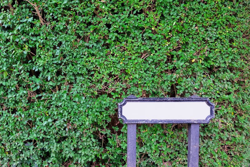 Le poteau indicateur en bois blanc vide vide avec le vert naturel part du fond de parc de jardin photos stock