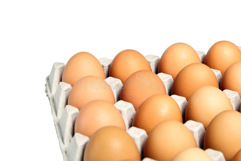 Le poulet eggs dans le plateau d'oeufs de carton sur le fond blanc photos stock Le poulet eggs dans le plateau d'oeufs de carton sur le fond blanc photos stock