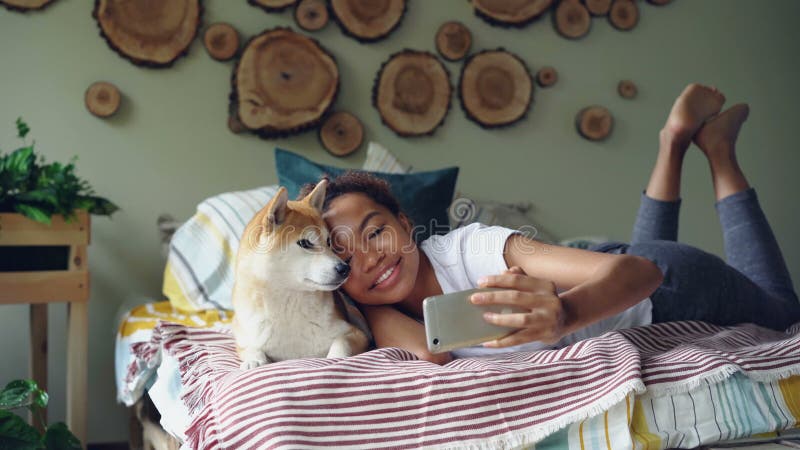 Le propriétaire fier de chien de fille heureuse d'Afro-américain prend le selfie avec l'animal familier mignon se trouvant sur le banque de vidéos