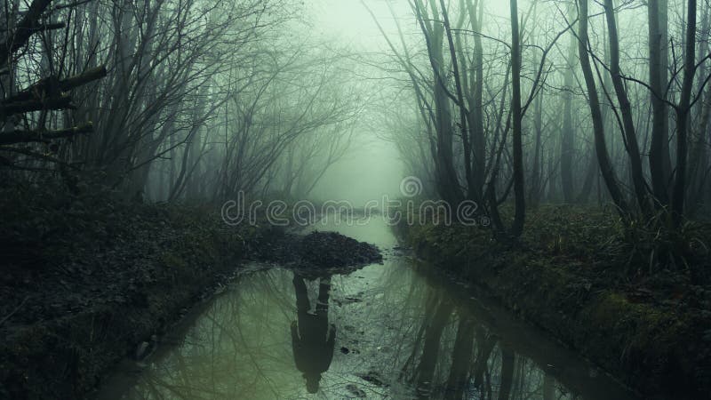 Le reflet d'une silhouette fantomatique dans un courant de forêt. Un jour brumeux brumeux sinistre. Avec un déprimé sombre publiez