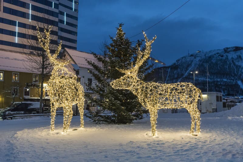 Le renne lumineux sculpte Tromsø Norvège photos stock Le renne lumineux sculpte Tromsø Norvège photos stock