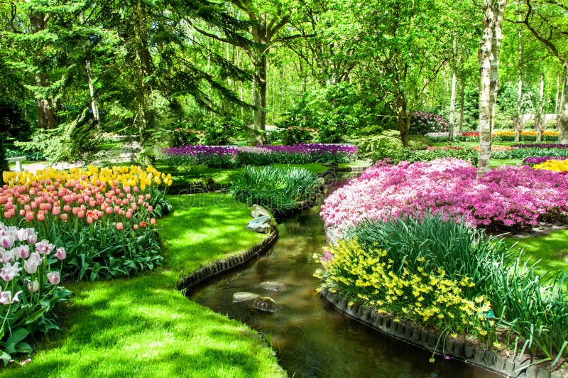 Le ressort coloré fleurit dans le jardin Keukenhof, Pays-Bas de la Hollande photographie stock Le ressort coloré fleurit dans le jardin Keukenhof, Pays-Bas de la Hollande photographie stock