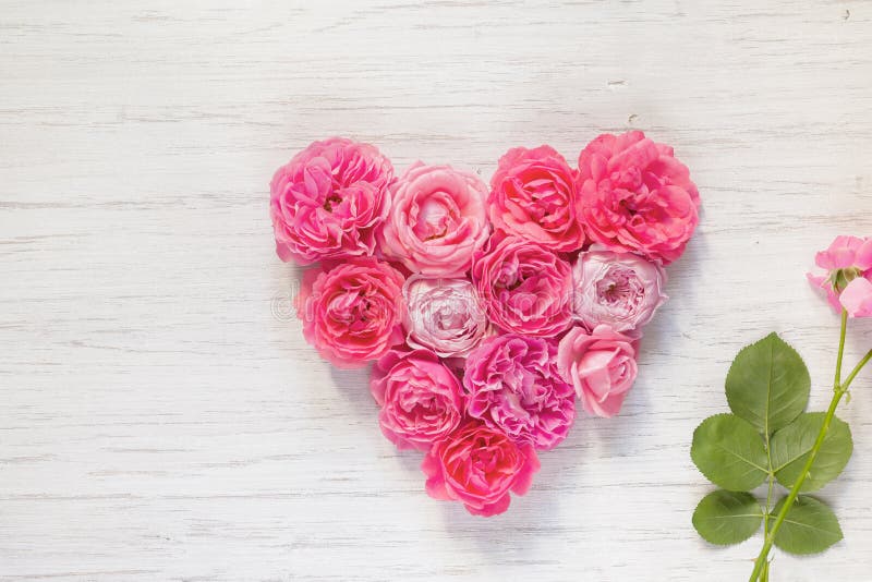Le rose de cru a monté des fleurs sous forme de coeur et branche sur un fond en bois image stock Le rose de cru a monté des fleurs sous forme de coeur et branche sur un fond en bois image stock