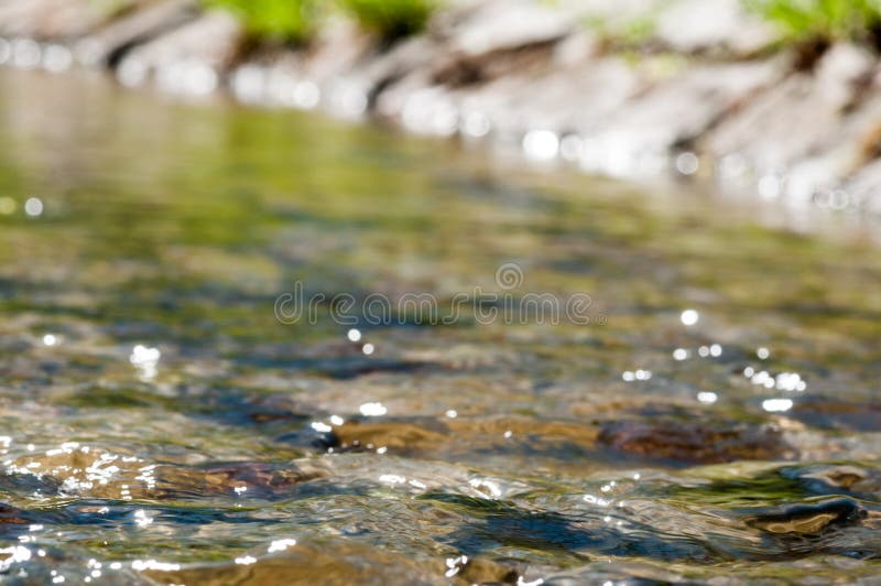 Le ruisseau a au printemps tir? avec la profondeur du champ, Pologne image stock Le ruisseau a au printemps tir? avec la profondeur du champ, Pologne image stock