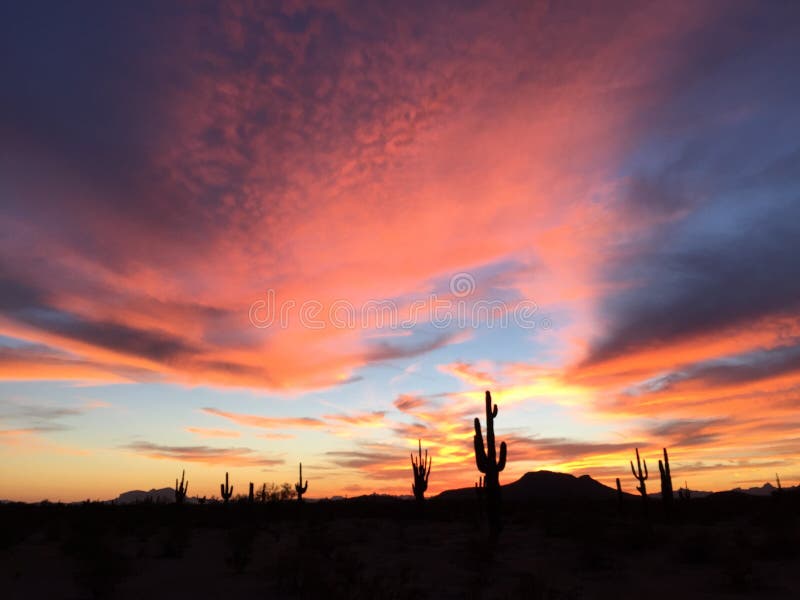 Le Saguaro de Dreamtime Cloudscape veille sur le sud-ouest d'Américain de ciel de l'Arizona photo stock Le Saguaro de Dreamtime Cloudscape veille sur le sud-ouest d'Américain de ciel de l'Arizona photo stock