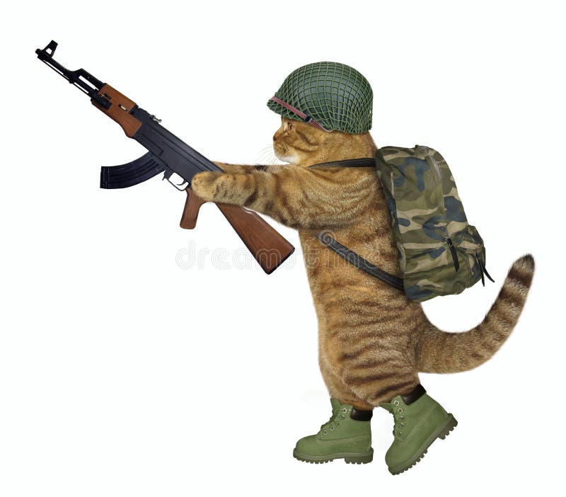 Le Soldat De Chats Tient Une Mitraillette Image Stock Image Du Chat Fortune Le Soldat De Chats Tient Une Mitraillette Image Stock Image Du Chat Fortune
