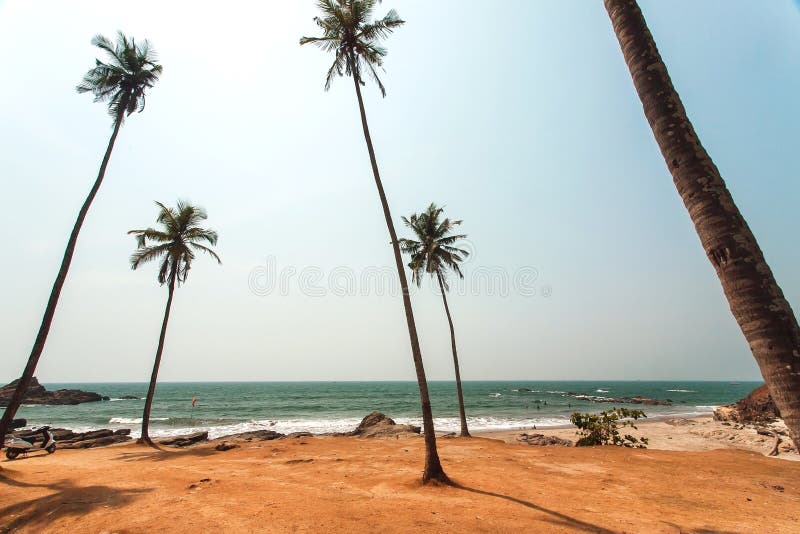 Le soleil chaud au-dessus des palmiers échouent et calment les eaux de l'Océan Indien, paysage d'état de Goa photo stock Le soleil chaud au-dessus des palmiers échouent et calment les eaux de l'Océan Indien, paysage d'état de Goa photo stock